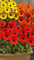 Poppy
