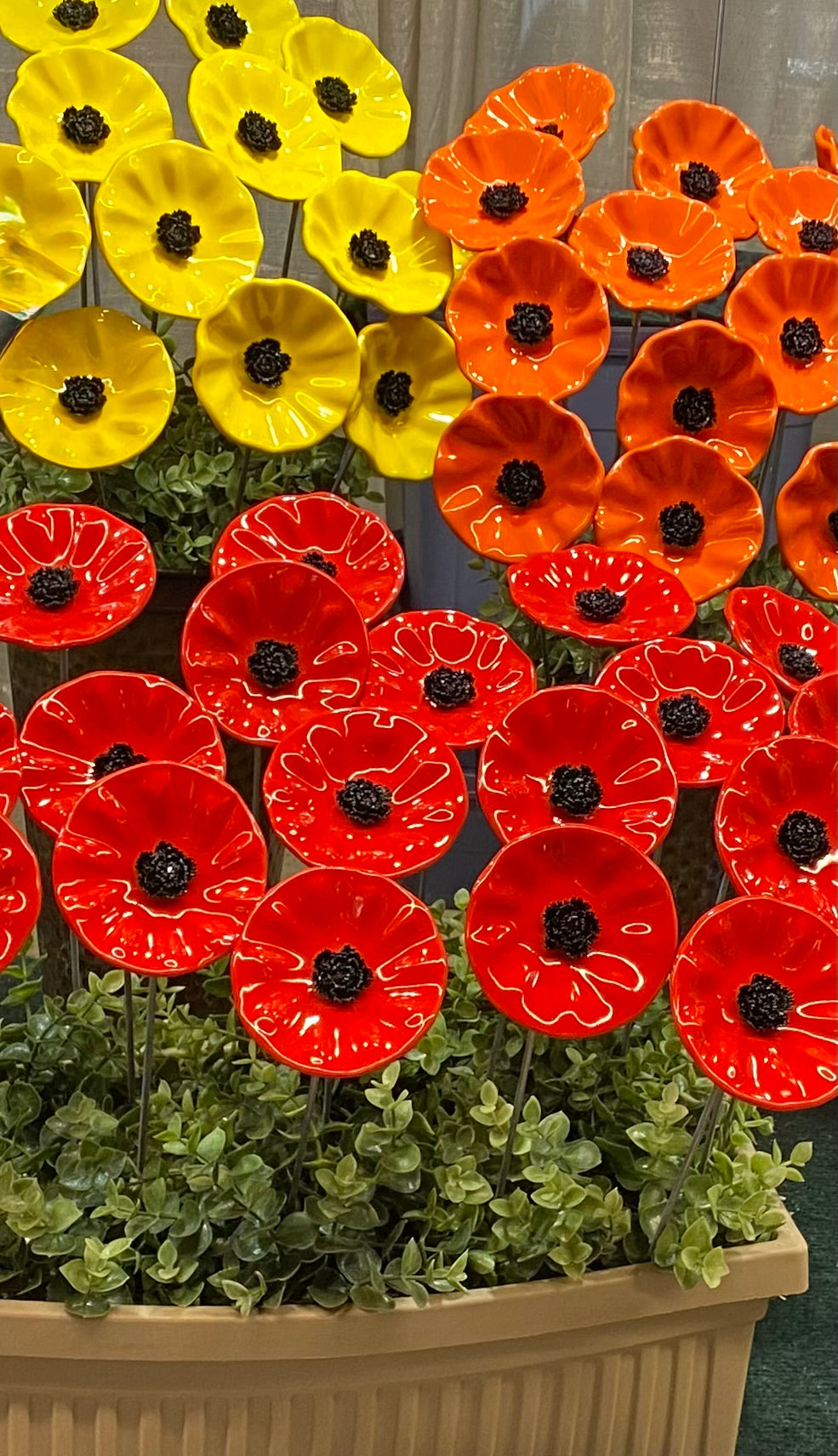 Poppy